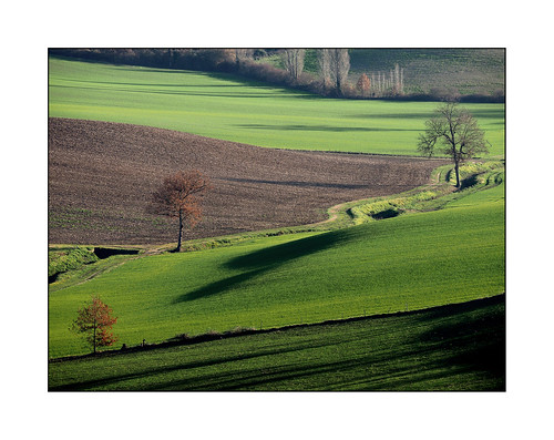france tree green landscape countryside vert paysage campagne arbre aquitaine lotetgaronne ruralité rurality beaugas