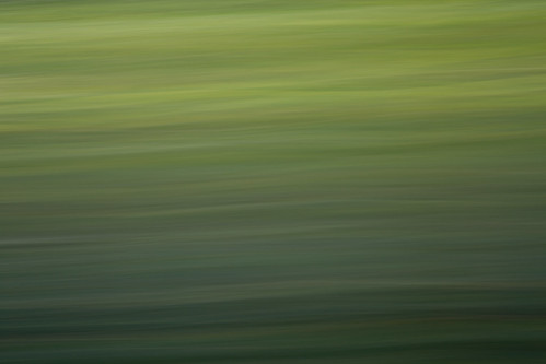 longexposure light abstract motion nature field grass leaves painting landscape nationalpark movement natural nps fineart photograph kansas nationalparkservice tallgrassprairienationalpreserve