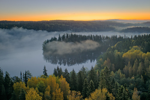 morning autumn mist lake tree fall nature water weather misty fog forest sunrise finland season landscape countryside pond haze woods scenery colorful europe glow outdoor vibrant background hill foggy scenic peaceful aerialview calm fantasy silence naturereserve mysterious cape mystical glowing serene stillwater peninsula magical idyllic hdr mystic headland foreland aylnko