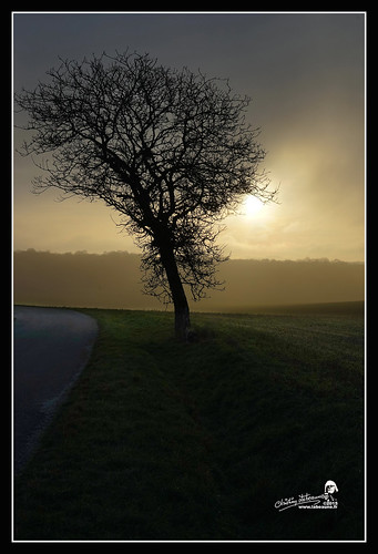 france paysages brouillard 2015 châtillonnais bourgognecôtedor moitron chatillonsurseine21400 christianlabeaune