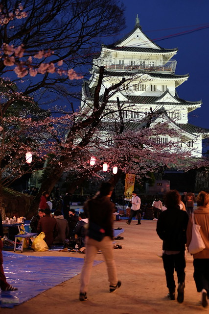 Chiba Castle with cherry blossoms 05