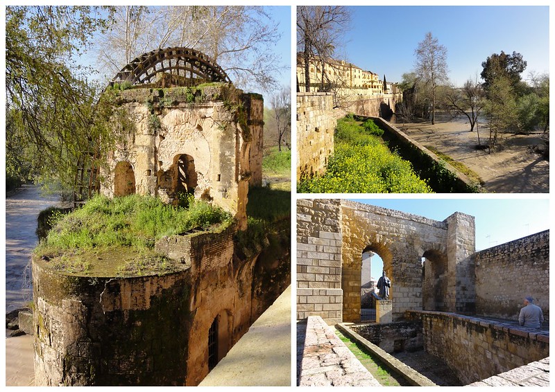 Córdoba capital (2): Palacio de Viana, Mezquita, paseo por el río y callejeo. - Recorriendo Andalucía. (26)