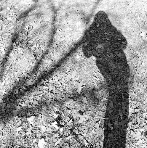 trees people bw texture shadows outdoor 365 selfie