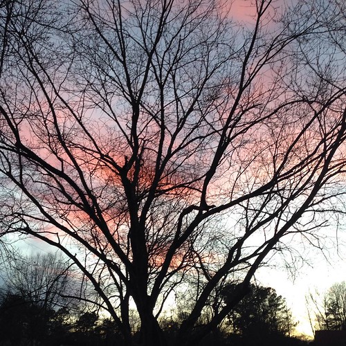 Last January sunset: pink (& 60 degrees).
