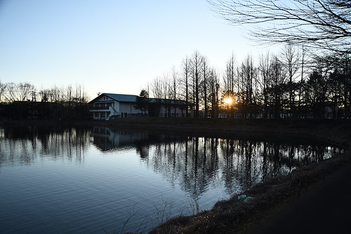 park sunset water sunshine japan pond 日本 karuizawa nagano 夕暮れ 長野 池 夕方 軽井沢 2015 長野県 yagasaki 矢ケ崎公園