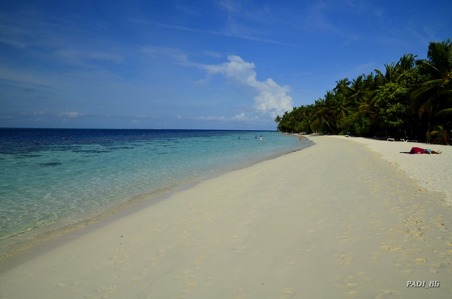 SOÑANDO DESPIERTO EN MALDIVAS - Blogs de Maldivas - RECORRIENDO LA ISLA (5)
