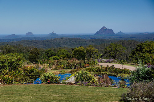 australia queensland garden maleny pond glasshousemountains view