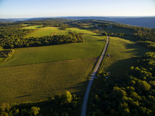 autumn green fall nature beautiful rural country peaceful aerial cny lush fingerlakes backroad countryroad endless drone dji grangersmith dronephotography djiphantom3 backroadsong