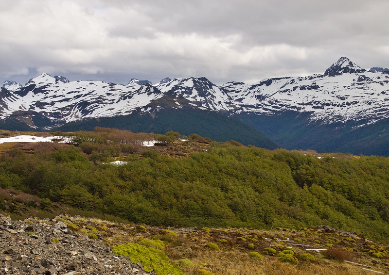 Parque Karukinka (Tierra del Fuego) - Por el sur del mundo. CHILE (20)