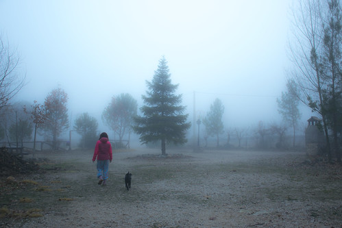 españa spain perro árbol niebla albacete villaverde guadalímar árbs