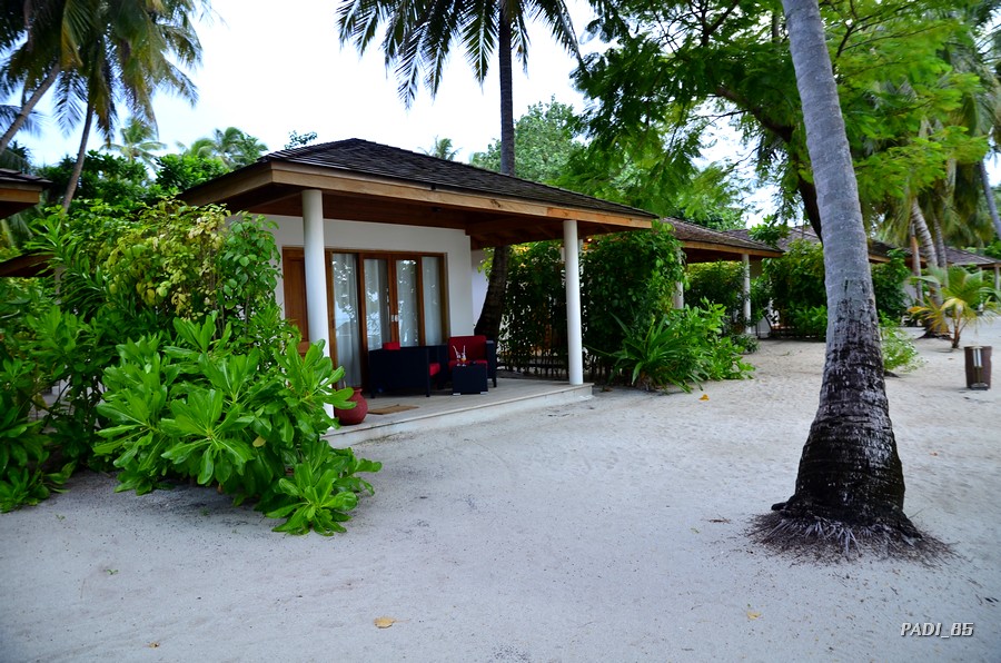RECORRIENDO LA ISLA - SOÑANDO DESPIERTO EN MALDIVAS (50)