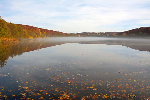 autumn mist automne landscape nikon contemporary sigma paysage reflexion reflets brume eaux étangs greatphotographers d7100 1770f284dcoshsmc