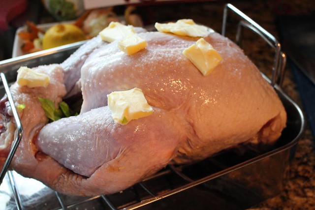 How to Roast a Turkey Tutorial