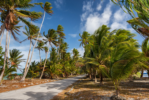 travel trees island day cloudy land tropical environment mh narrow climatechange atoll majuro marshallislands oceania rmi majuroatoll