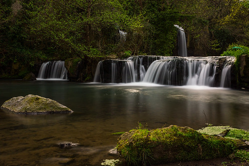 tree green water forest landscape waterfall italia it lazio calcata montegelato mazzanoromano