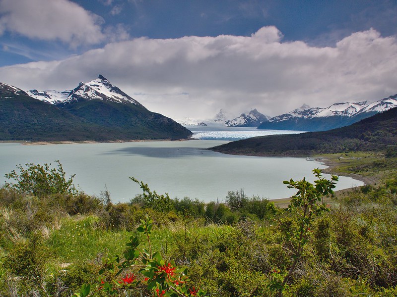 Visita inesperada al glaciar con paseo marítimo (nov-2012) - Por la Patagonia ARGENTINA (21)