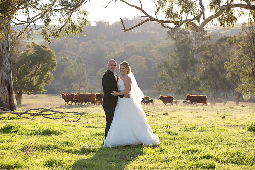 The bride and groom at the countryside.