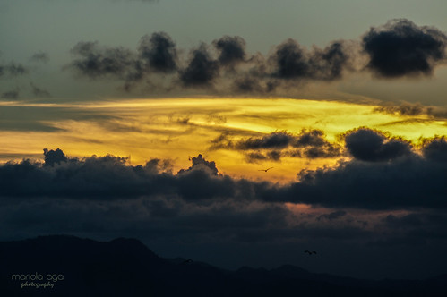 light sunset sky sunlight mountains birds silhouette clouds evening dominicanrepublic hills puntacana thegalaxy