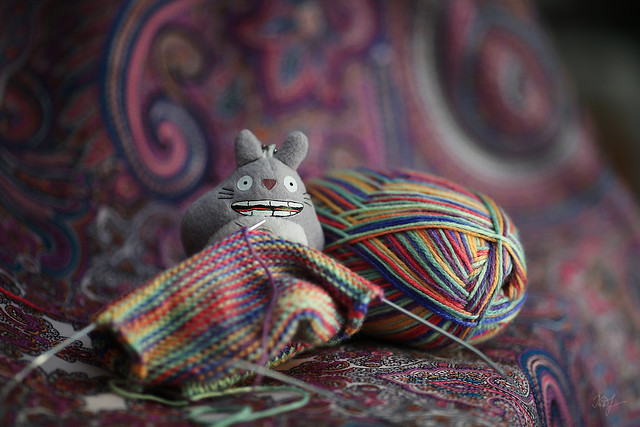 Day #36: totoro knits socks to a friend