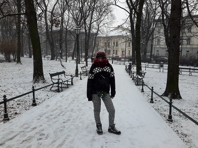 4 días en Varsovia y Cracovia,  con temperaturas bajo cero - Blogs de Polonia - Visita por Cracovia, Fábrica de Schindler y vuelta a Varsovia (7)
