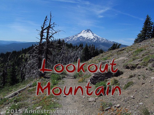 Views along the Lookout Mountain Trail, Mt. Hood National Forest, Oregon