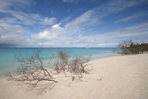 west classic beach canon island eos 1 bay mark low antigua tropical 5d canon5d caribbean tamron plage mk 17miles antilles cocotier indies cocotiers île caraibes barbuda westindies 1735 tamron1735 fwi antiguabarbuda tropiques antiguaandbarbuda antillas lowbeach lesserantilles i f284 lowbay 5dmark1 17milesbeach