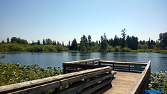 Larsen Lake | Bellevue.com