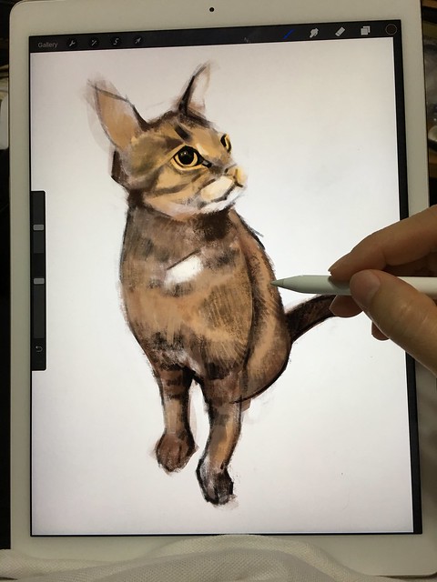 Digital painting of "Maru" the cat on iPad Pro + Apple Pencil + Procreate