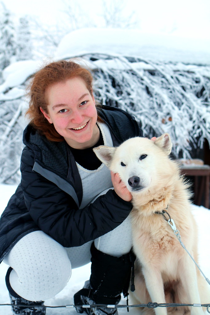 Arctic Dog Sledding Kiruna, Sweden (38)