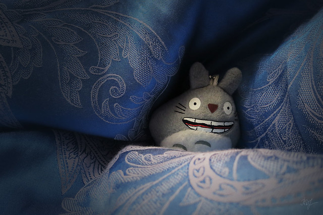 Day #92: totoro hid from fools