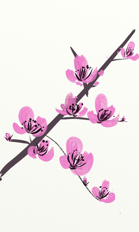 Cherry Blossom study
