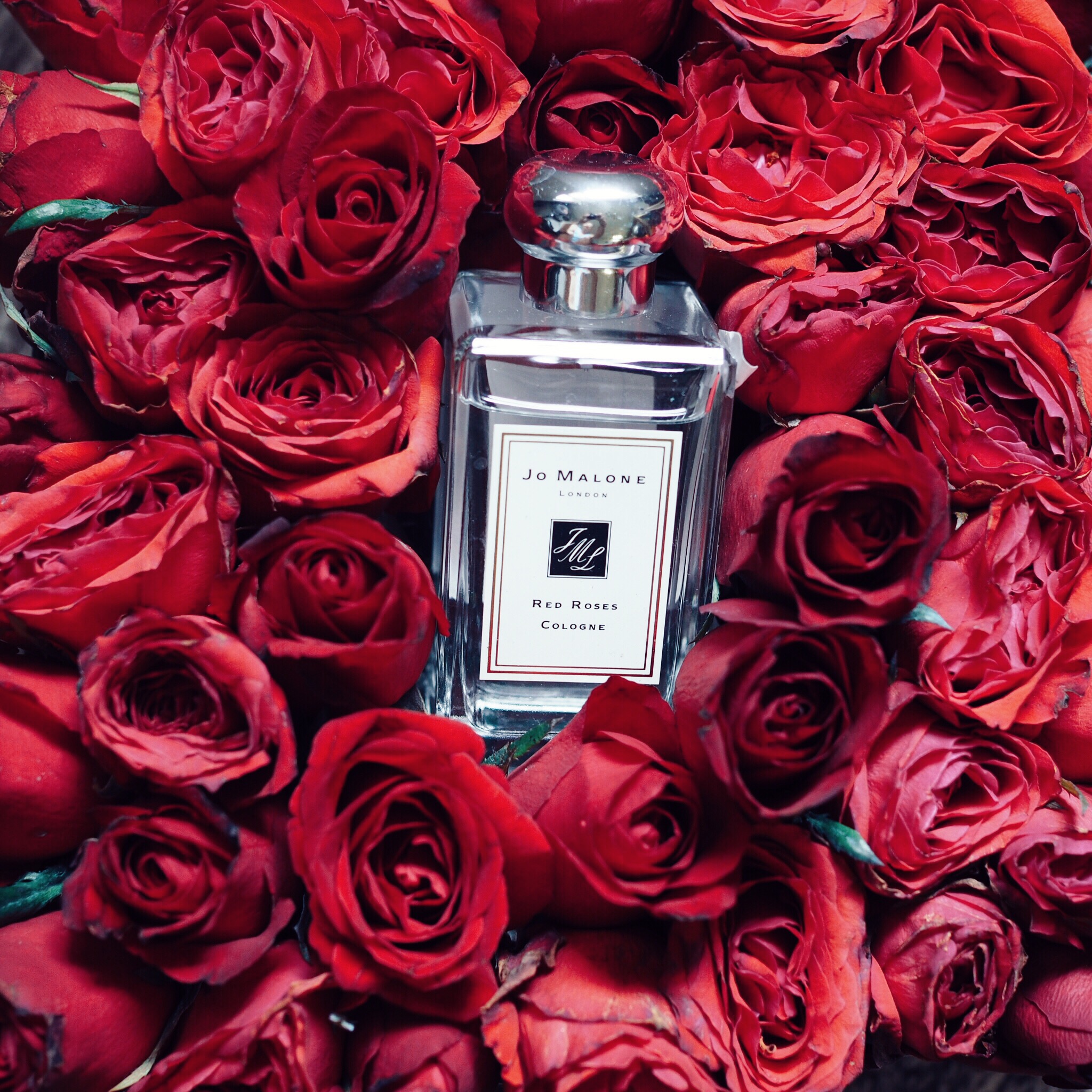 jo-malone-red-roses