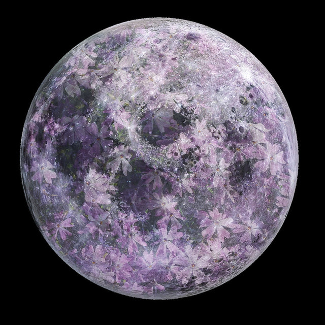 Digital overlay - artistic rendition of Pink Moon