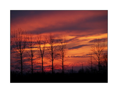 sunset sky orange cloud france tree landscape ciel nuage paysage arbre coucherdesoleil aquitaine lotetgaronne letemplesurlot
