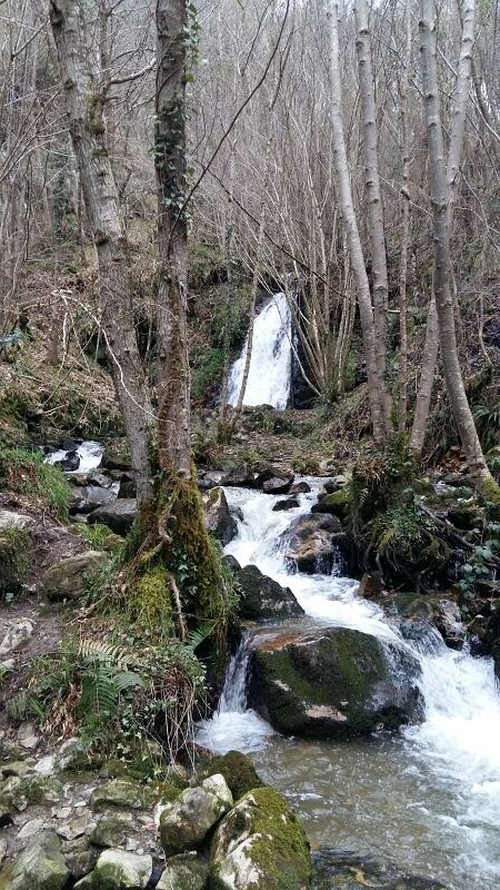 Cascada del Nonaya (Salas) - Descubriendo Asturias (23)