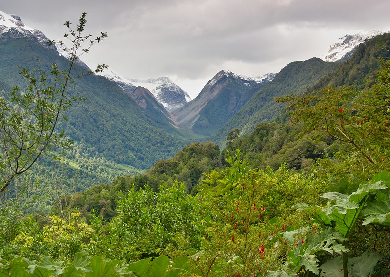 Ruta Austral: De La Junta a Puerto Aysén - Por el sur del mundo. CHILE (18)