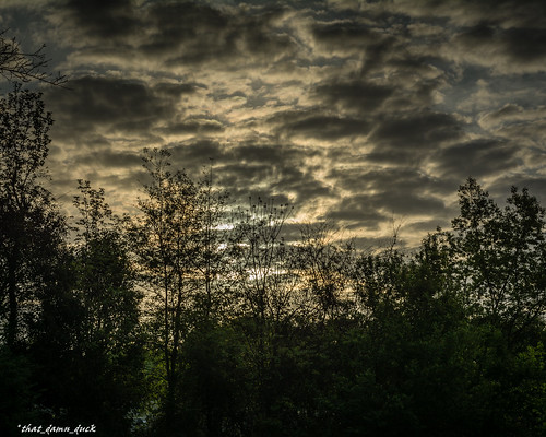 sunset nature clouds unitedstates sundown dusk southcarolina