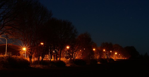 street trees night germany nacht lamps bäume lampen niedersachsen lowersaxony strase deitschland landkreisrotenburgwümme karlshöfen