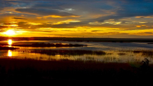 puestadesol nwn pitillas landscape humedales sundown sunset laguna conservación defensa carrizo navarra españa d3100
