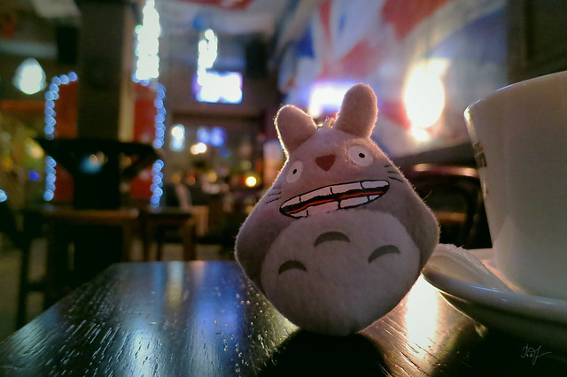 Day #11: totoro went to the pub