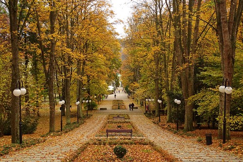 park autumn trees fall nature town bath path bad poland polska lamps zdrój polanicazdrój lowersilesia
