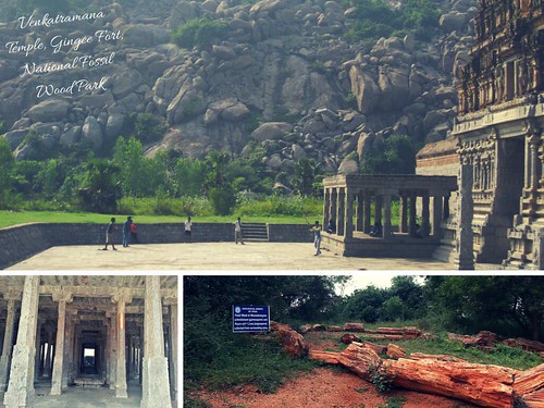 Venkatramana Temple, National Fossil Wood Park