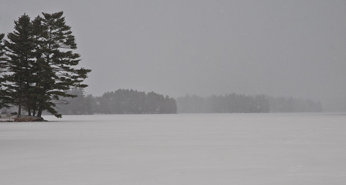 trees winter lake snow ontario bellrock depotlakesconservationarea