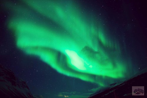 I started off my tryst with the famous Lapland in search of fulfilling one more childhood quest, to witness the 'Aurora borealis', the lights of the northern hemisphere, means 'dawn of the north'. On the other note, 'Aurora australis' means 'dawn of the s