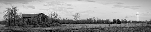 old trees panorama field mississippi landscape outdoors was highway king drew delta down run cotton shack slavery parchman