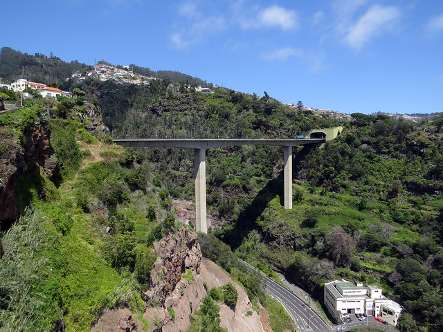 Madeira bridge