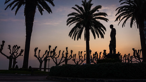 españa sunrise palmeras escultura amanecer estatua jardines cantabria castrourdiales argenta sonynex5n