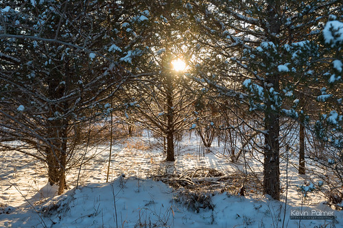 statepark trees winter light sunset sun sunlight snow cold gold golden evening illinois january clear 2016 kevinpalmer bannermarsh statewildlifearea tamron2470mmf28 nikond750