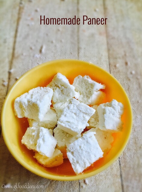 Homemade Paneer Recipe for Babies, Toddlers and Kids 2