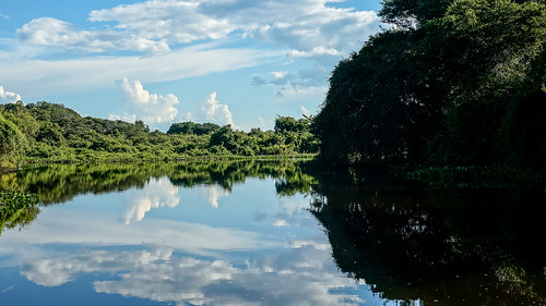 brazil tourism rio brasil river sony miranda matogrossodosul a57 riomiranda fazendasanfransisco